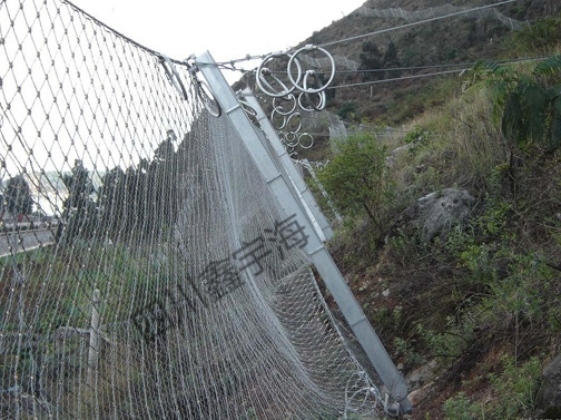 被动边坡防护网